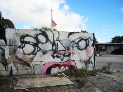 Anthony Lister Miami 2