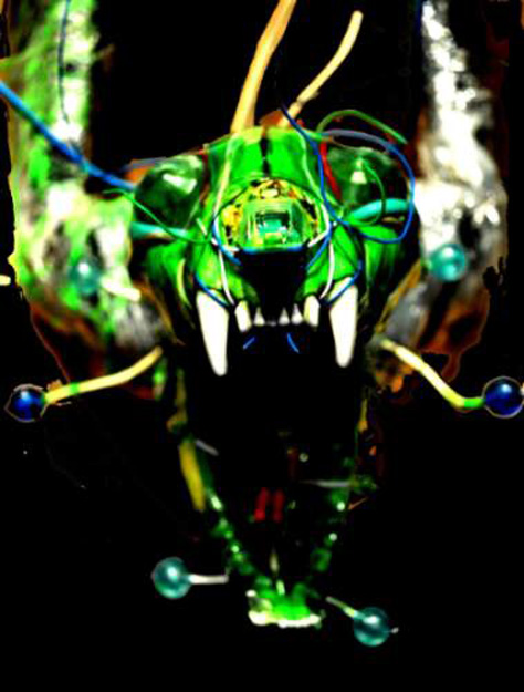 img-1.jpeg img-1.jpeg
