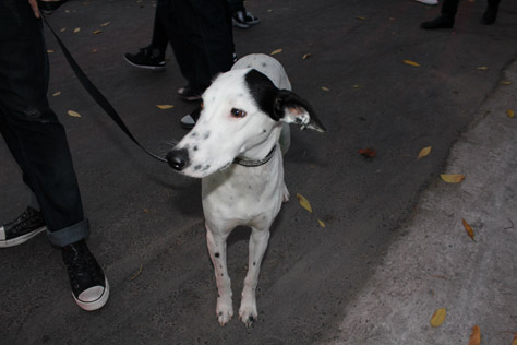 CONVERSE-BLOCK-PARTY-BUENOS-AIRES-10.jpg CONVERSE-BLOCK-PARTY-BUENOS-AIRES-10.jpg
